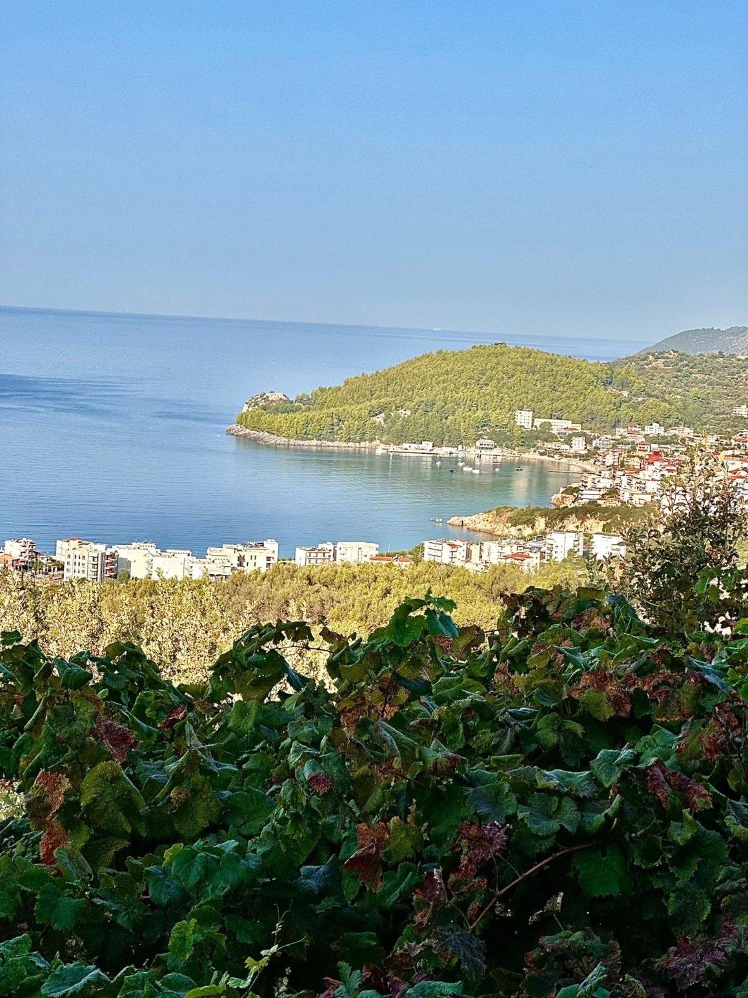 Elea Guesthouse Himarë Dış mekan fotoğraf