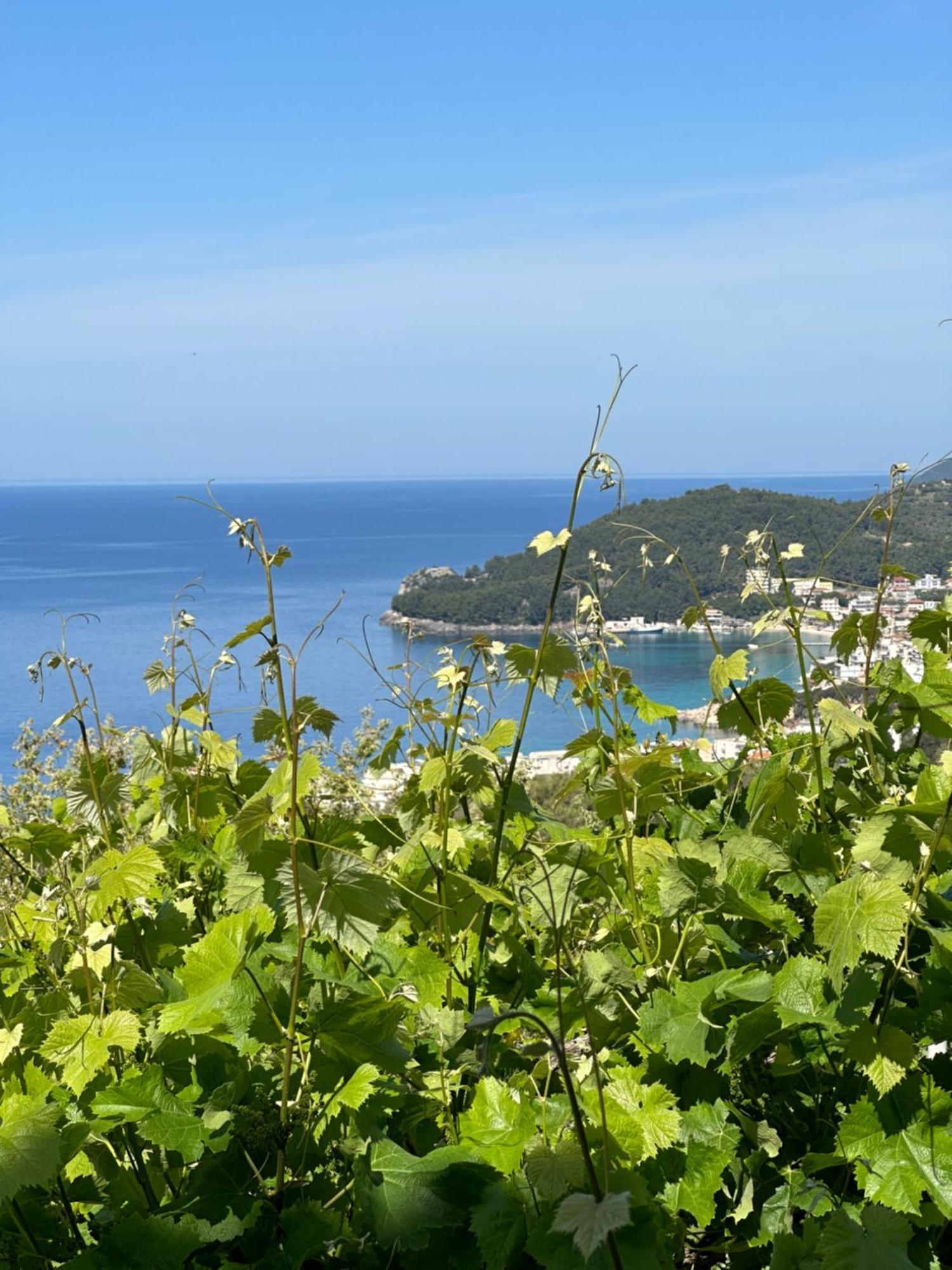 Elea Guesthouse Himarë Dış mekan fotoğraf